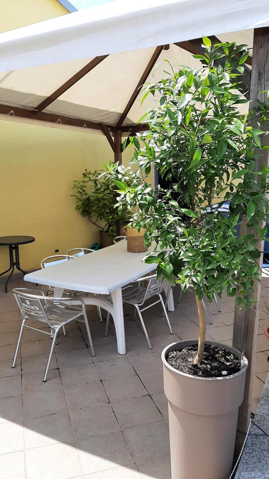 Il Ragno D'Oro Apartamento Rho Exterior foto